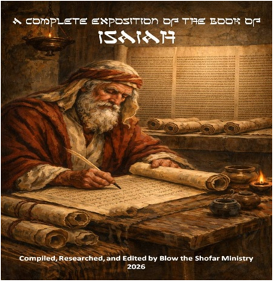 Isaiah book cover